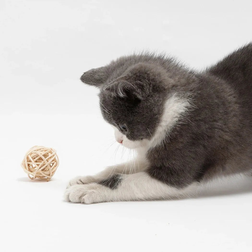 Two-piece cat toy set showing rattan ball and faux feather bell ball for interactive pet play