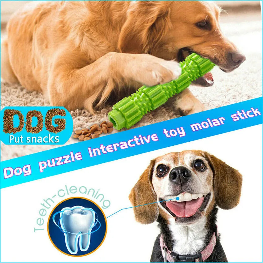 Green and orange rubber dog chew toy with treat dispensing opening and textured surface for aggressive chewers