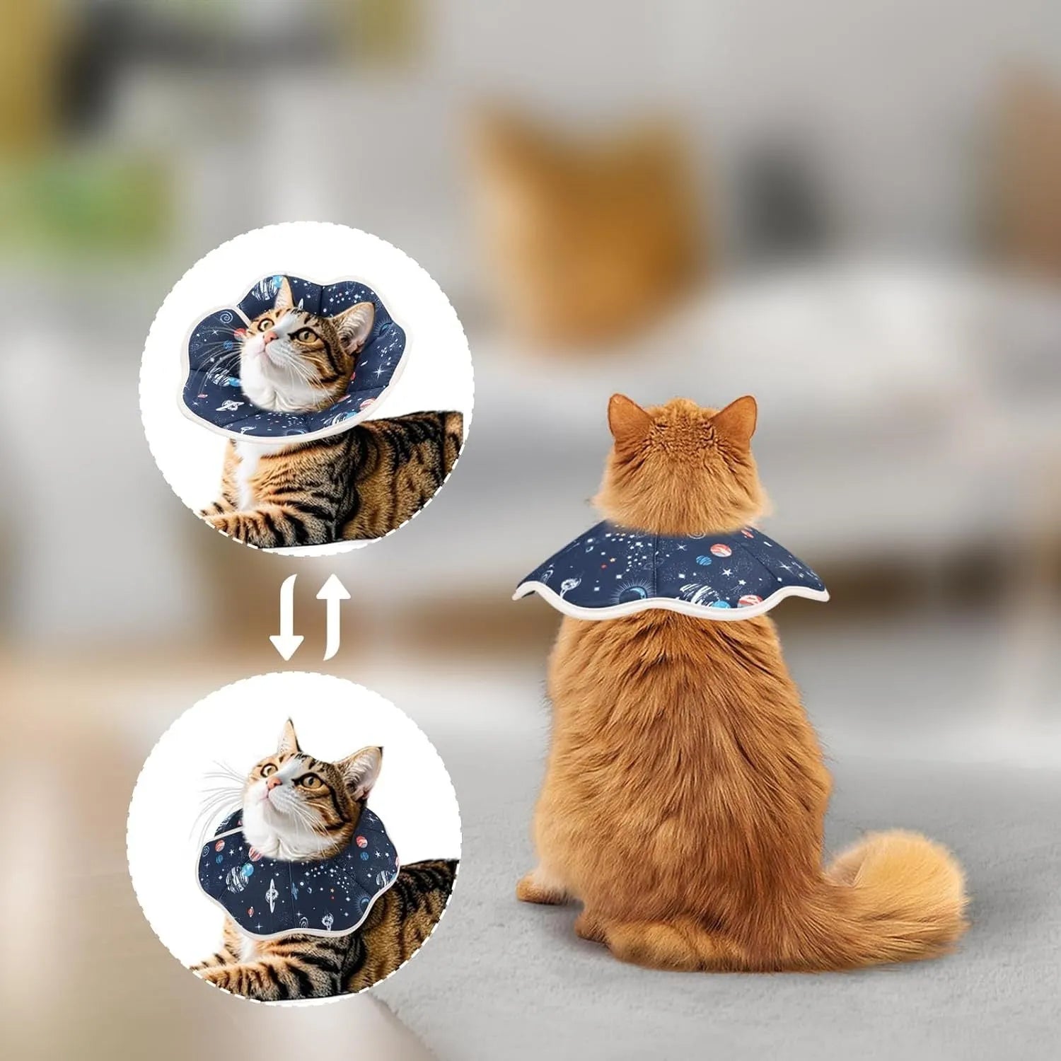 Soft cat recovery collar in Constellation pattern on a small cat resting after surgery