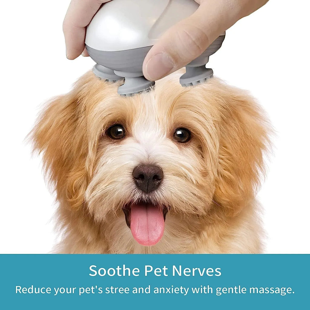 Blue electric pet massager with four rotating heads and soft massage nodes