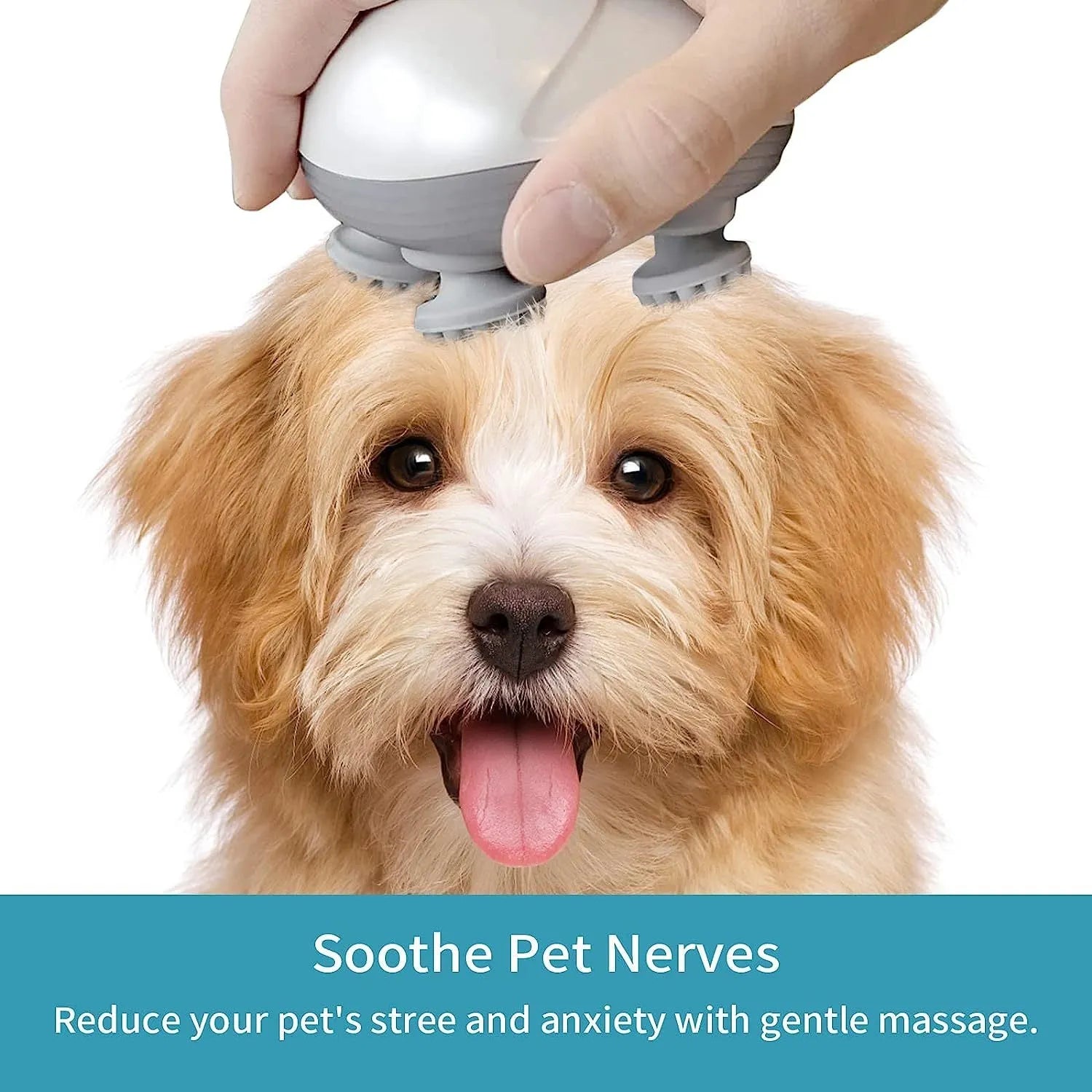 Blue electric pet massager with four rotating heads and soft massage nodes