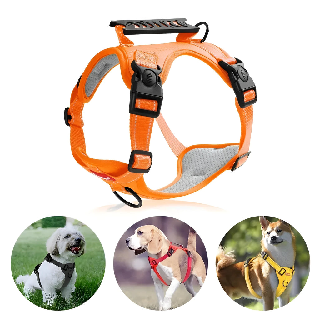 Polyester dog harness and lead set in multiple colours including black, red and blue