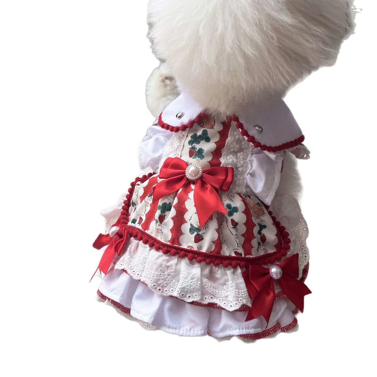 Rabbit skirt princess style dog dress on a small dog, showing the polyester fabric and skirt design.