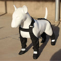 Black dog paw protectors with adjustable Velcro straps, waterproof non-slip soles