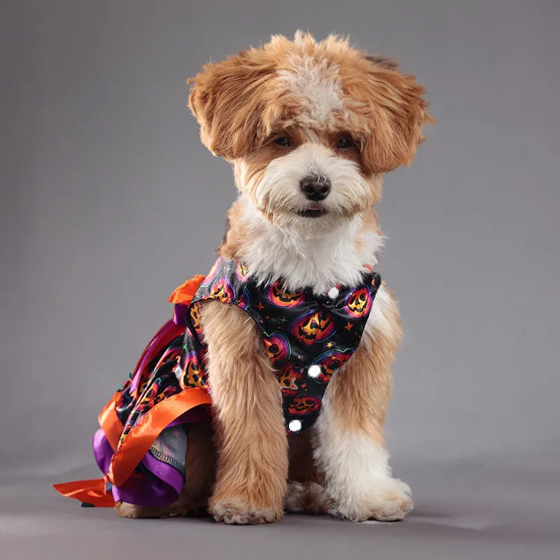 Halloween dog skirt with colourful pumpkin or skull print on double-layer polyester.