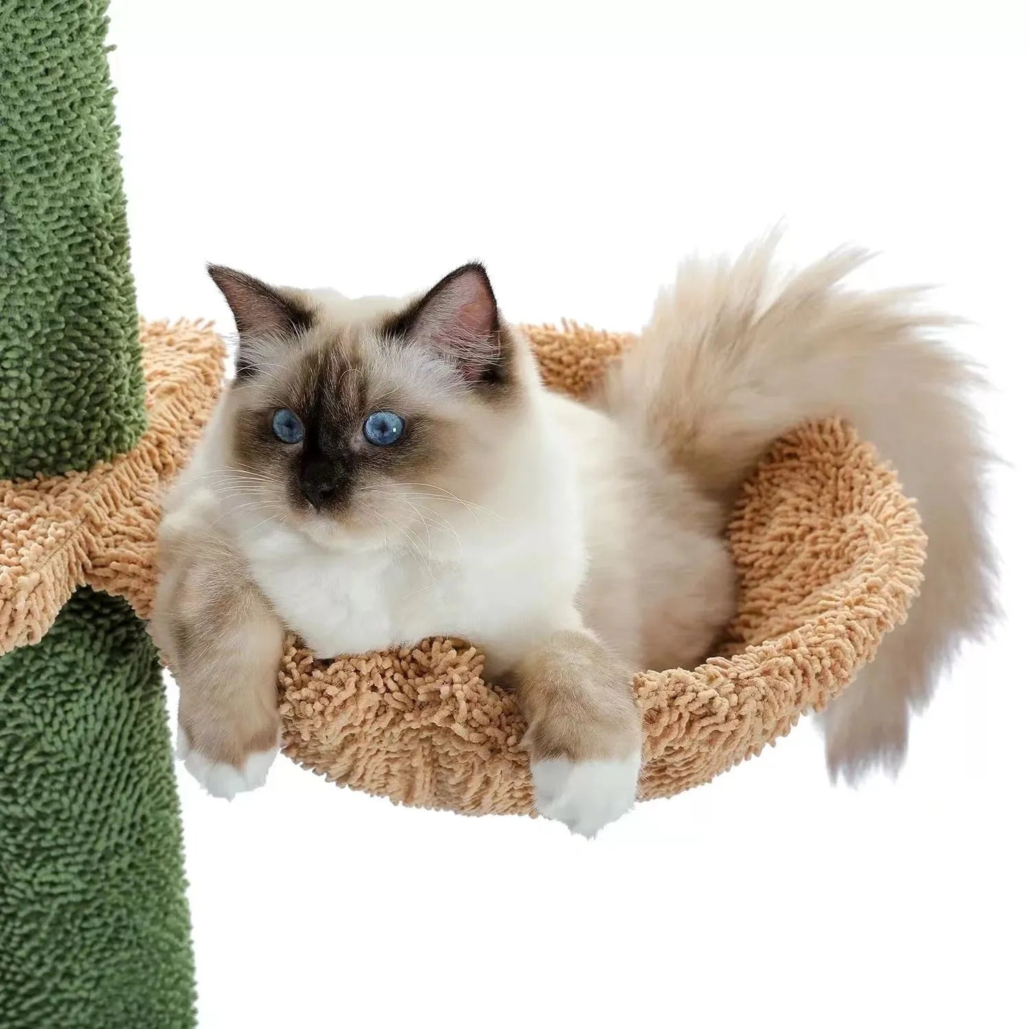 Solid wood cat climbing frame with integrated scratch board and hanging cat toy