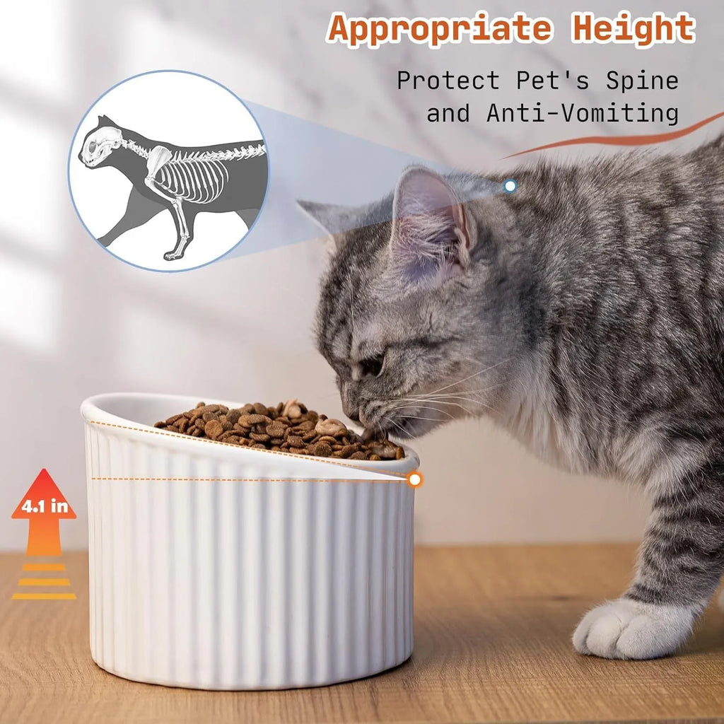 A dark green ceramic elevated cat bowl with a tilted, round rim on a wooden surface.