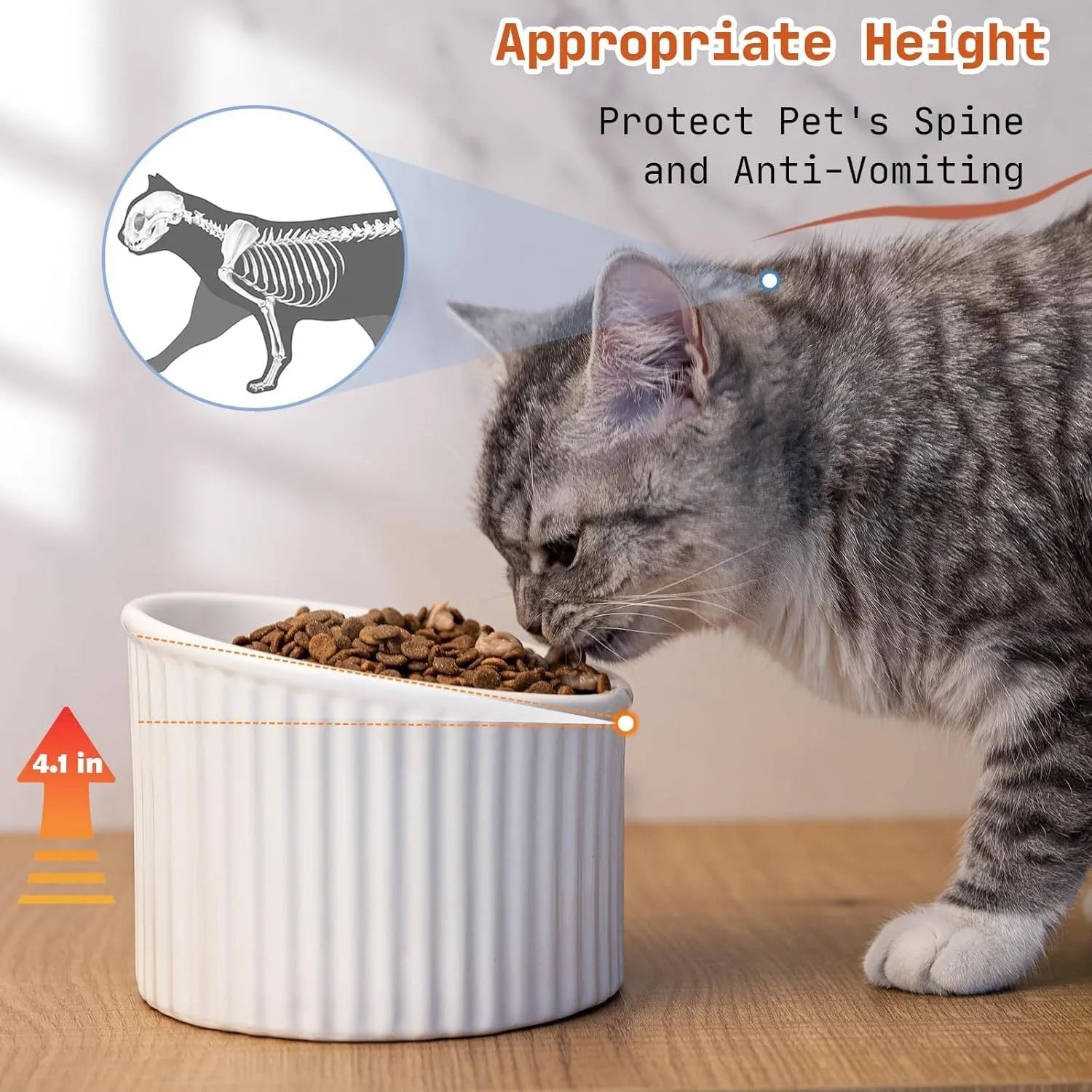 A dark green ceramic elevated cat bowl with a tilted, round rim on a wooden surface.