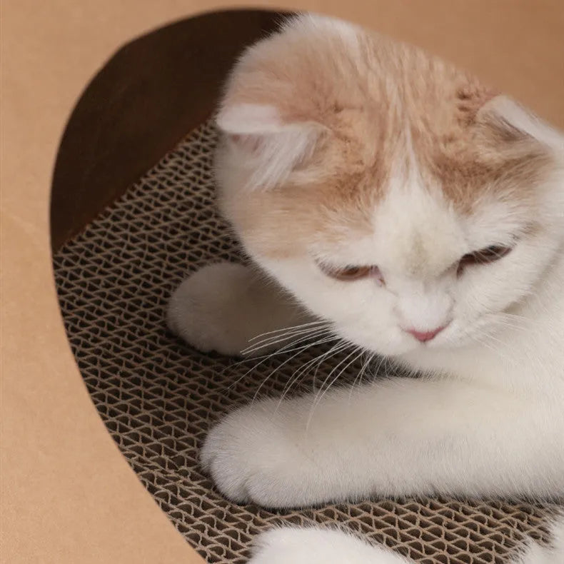 Brown washable kraft paper cat nest with integrated corrugated scratch board and litter, 40x30x53cm