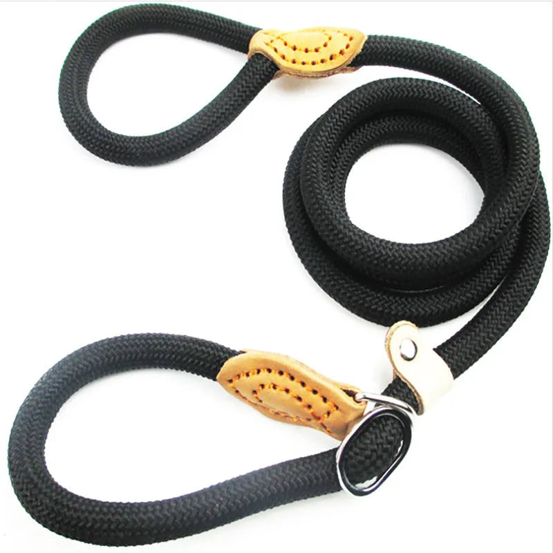Brown nylon dog leash with hand loop, shown at full 2.1 metre length.