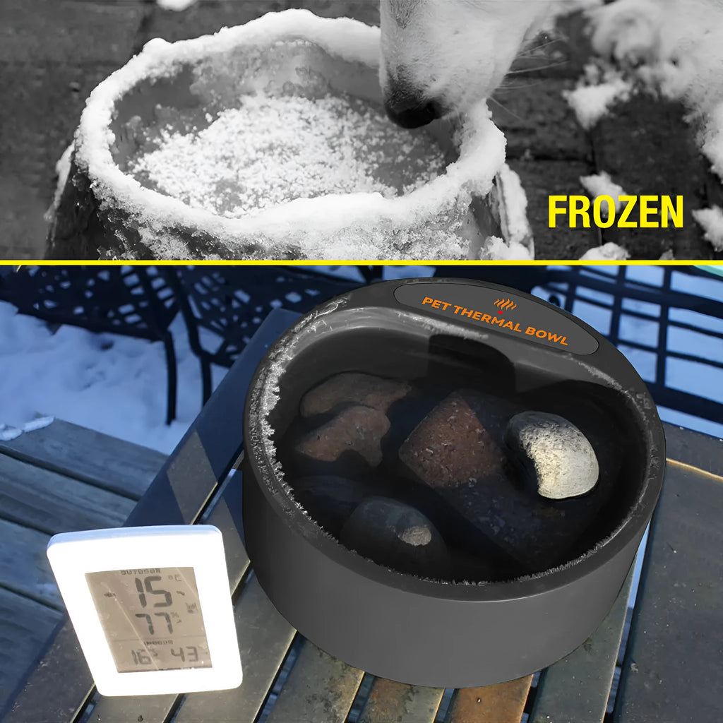 Black ABS pet heating bowl with constant temperature control for cats and dogs