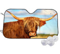 Telescopic aluminium foil car sun visor extended across a car windscreen