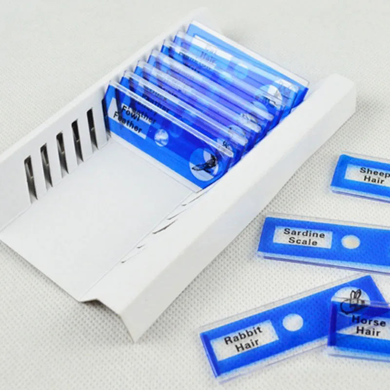 Colour-coded plastic microscope slides set with plant rhizomes and insect specimens for children's observation
