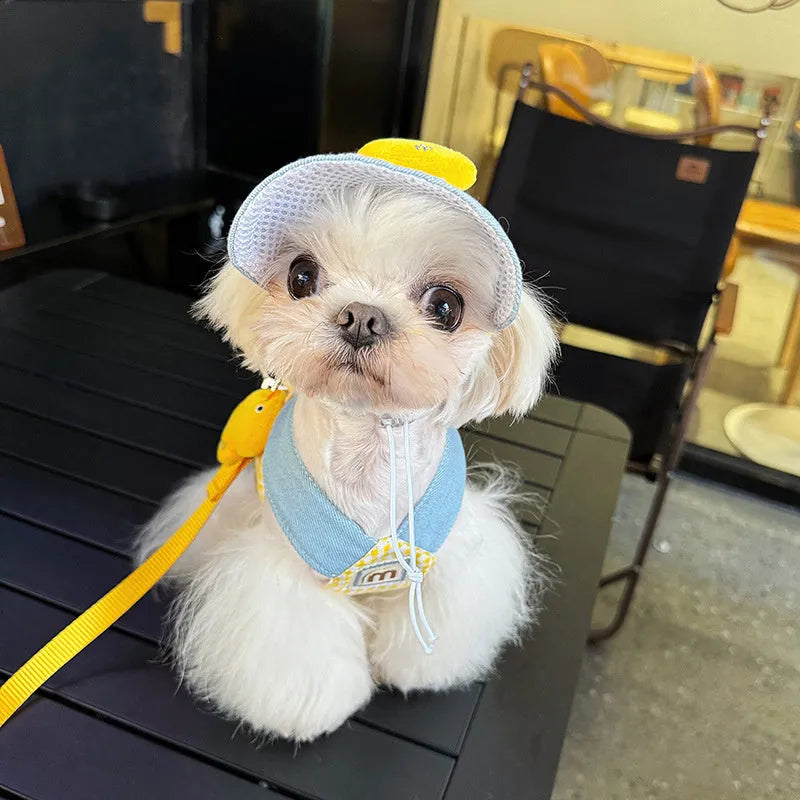 Pet harness and leash set with three-piece cat clothes outfit including hat