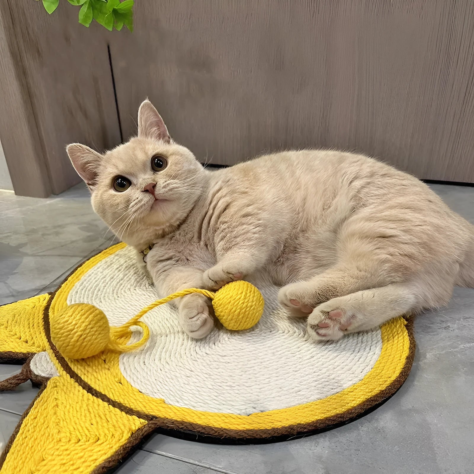 Yellow Corgi butt design sisal cat scratching pad with anti-slip base measuring 37 by 40 centimetres