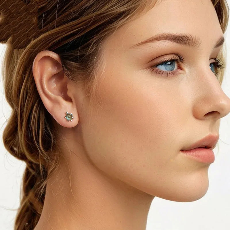 S925 sterling silver turtle ear studs and ring set on white background, electroplated 925 silver jewellery for women