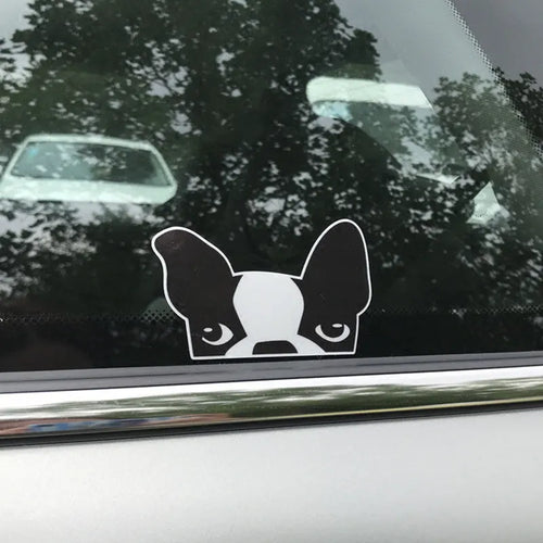 Pack of 10 reflective bulldog stickers 11cm x 7cm in three colour options, strong adhesive for car bumper or pet collar