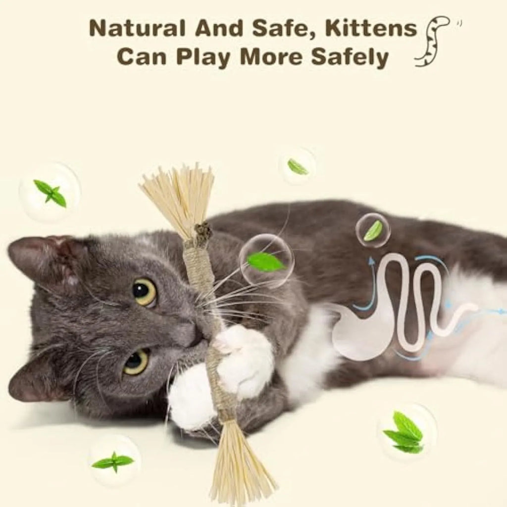3 pack natural silvervine cat chew sticks with sisal rope for dental care