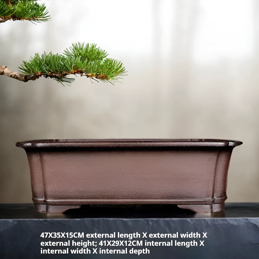 Antique rectangular purple clay flowerpot on a wooden surface with green boxwood plant inside