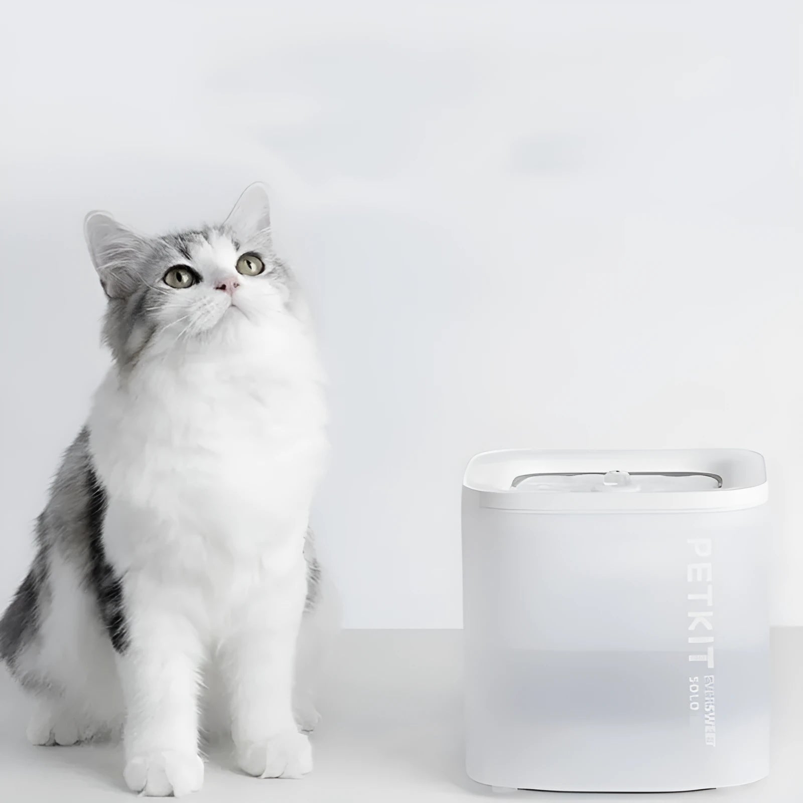 Smart pet water dispenser wireless loop filter with included host, filter element, and adapter for dogs and cats