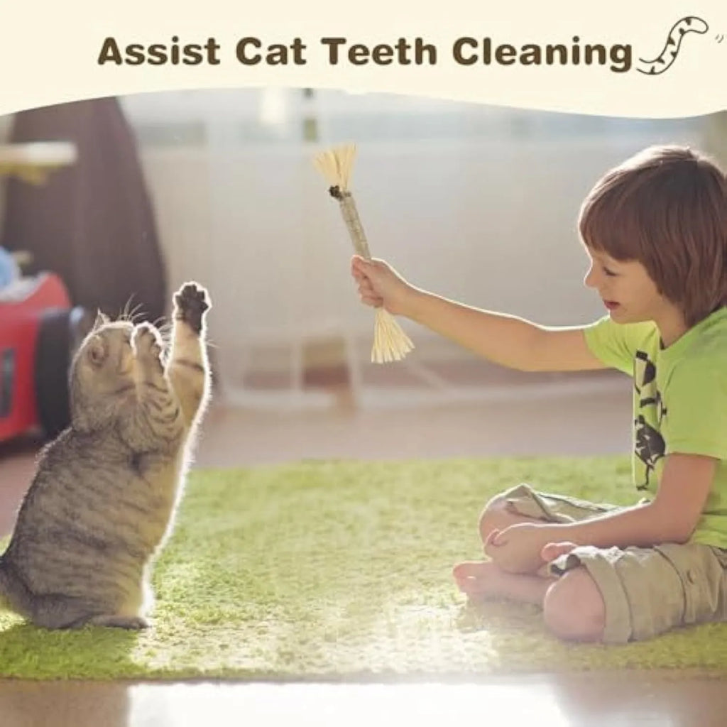 3 pack natural silvervine cat chew sticks with sisal rope for dental care