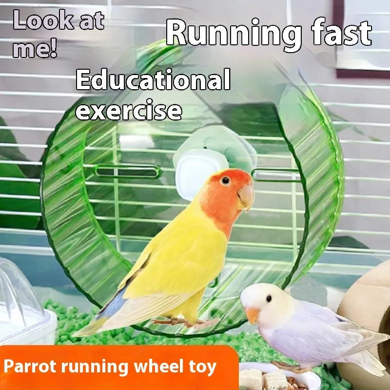 Plastic parrot exercise wheel toy in transparent colour showing running surface and mounting bracket