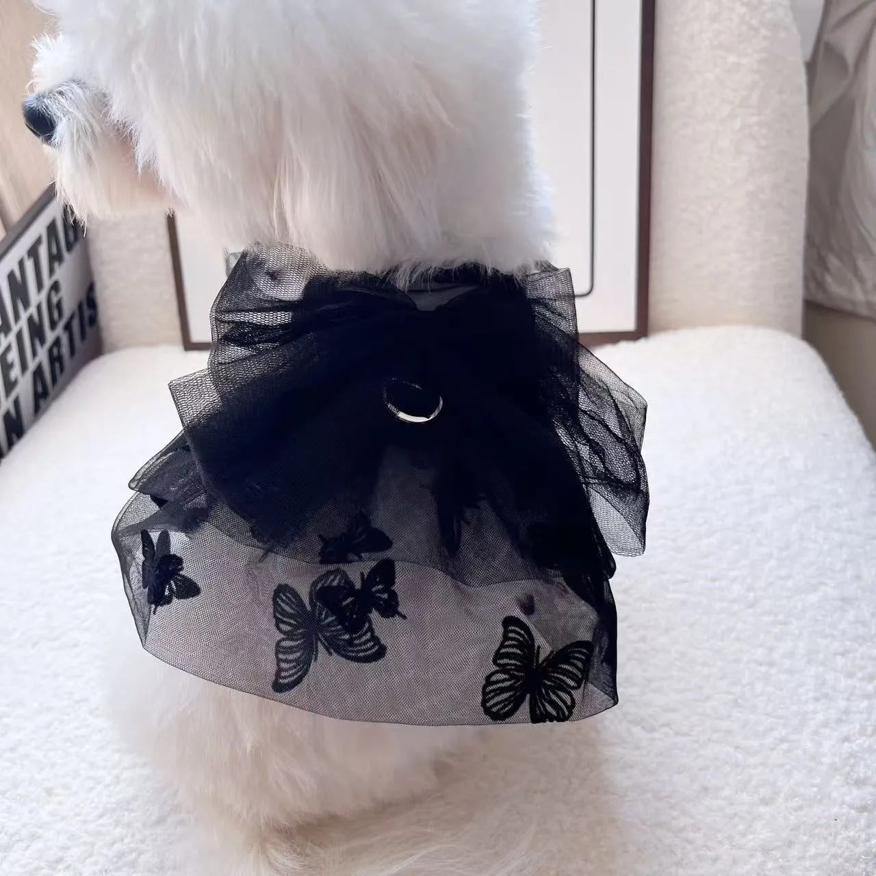 Black tulle princess skirt costume on small dog, showing tiered gauze design and adjustable fit.