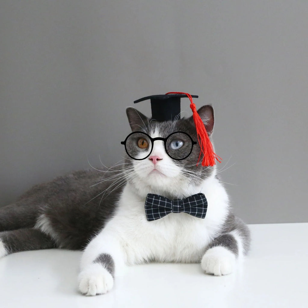 Pet wool felt hair band with matching bow tie accessory in British style