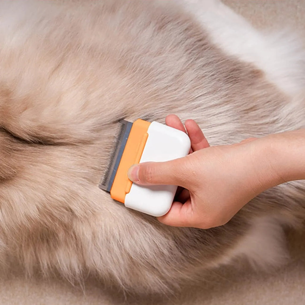 Double-sided pet grooming comb for cats and dogs in blue, gray, or orange