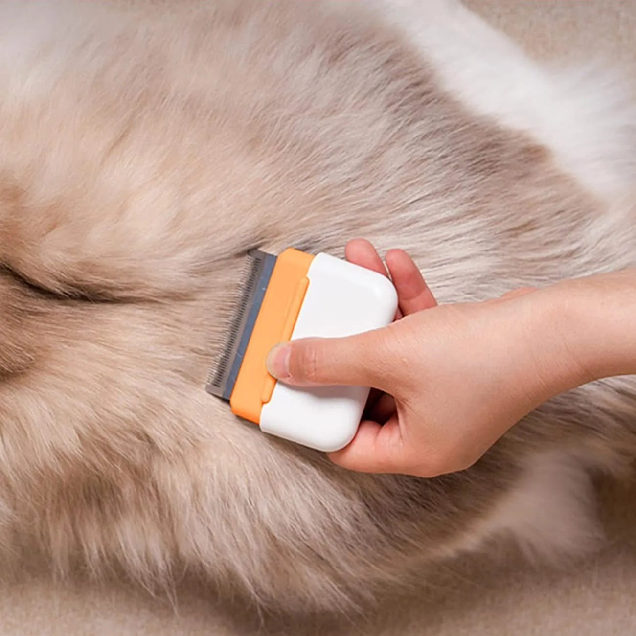 Double-sided pet grooming comb for cats and dogs in blue, gray, or orange