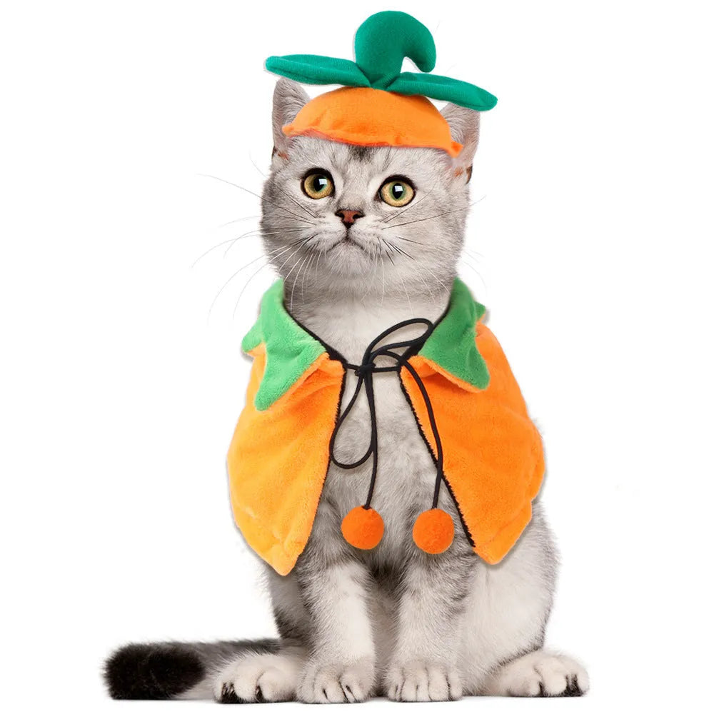 Double-sided Halloween pumpkin plush pet cloak for dogs and cats in B05401 colour