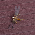 European golden dragonfly side clip headdress in gold-tone alloy with electroplated finish for women