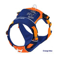 Orange blue nylon dog chest strap vest style with chain ring on neutral background