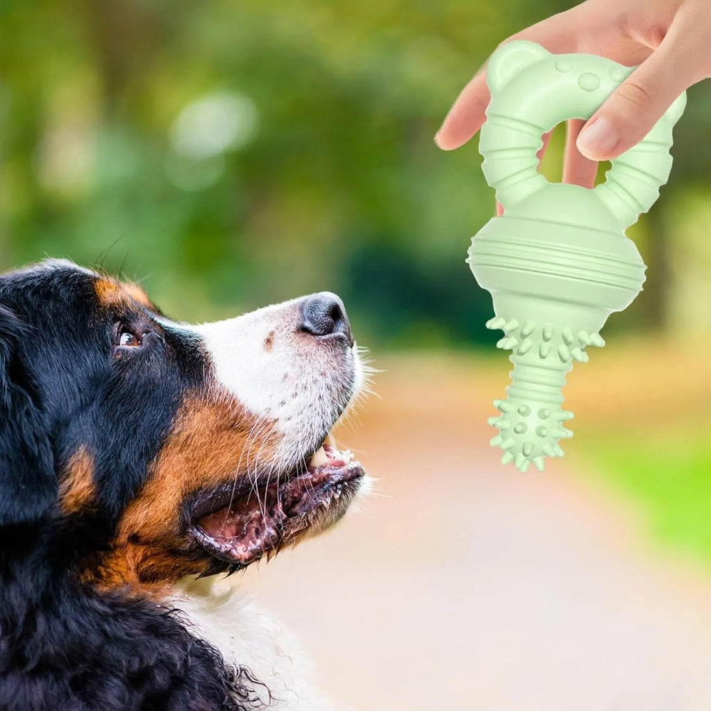 Blue rubber dog chew toy with concave-convex texture for teeth cleaning, 13.5cm size