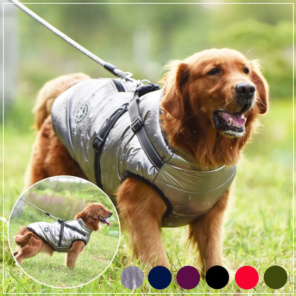 Waterproof dog coat in rain silk fabric with a harness hole, shown in red, navy blue, and army green.
