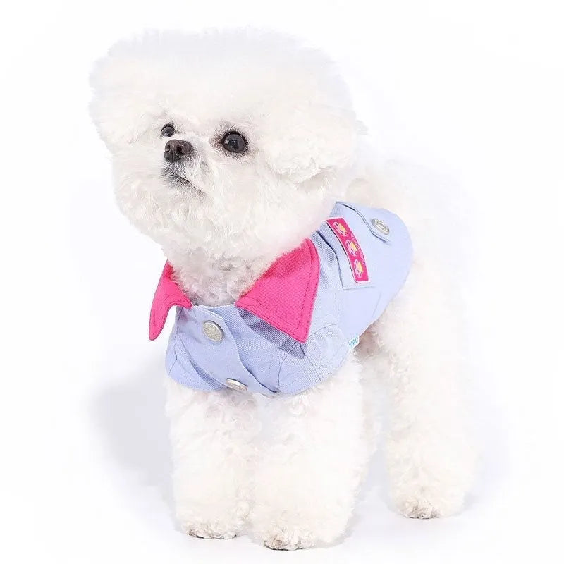 Blue and purple polyester mesh dog vest with integrated rope ring for small dogs