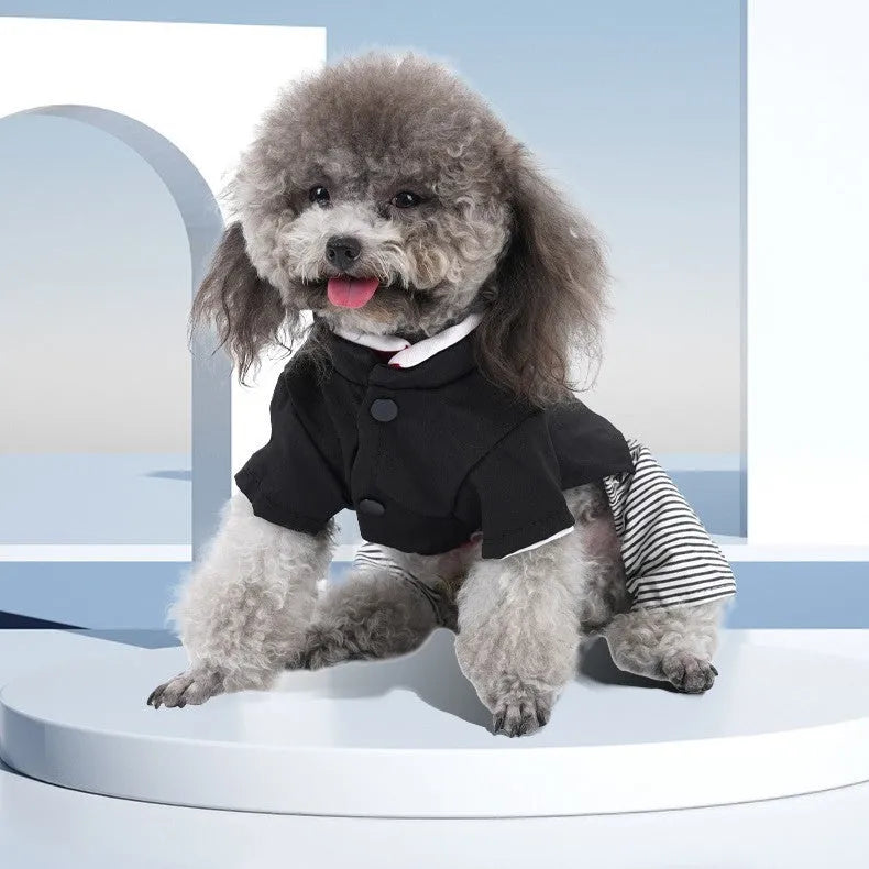 Thin cotton poodle dog clothes in four-legged pants or skirt styles for spring and autumn seasons