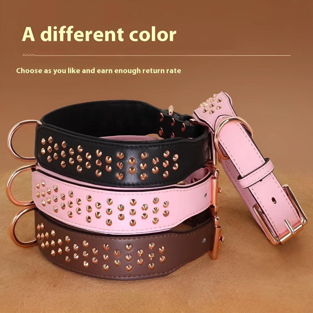 Brown leather dog collar with metal rivets and a silver buckle, shown on a black background.