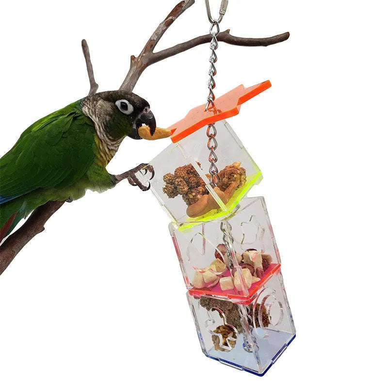 Clear acrylic parrot foraging toy measuring 5x5x32cm with food inside for bird enrichment
