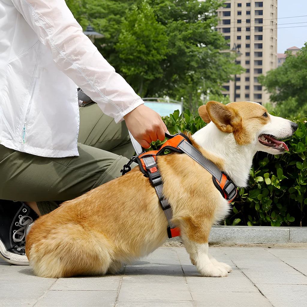 Dog hand holding rope vest chest strap in polyester with colour options and sizes L M XL