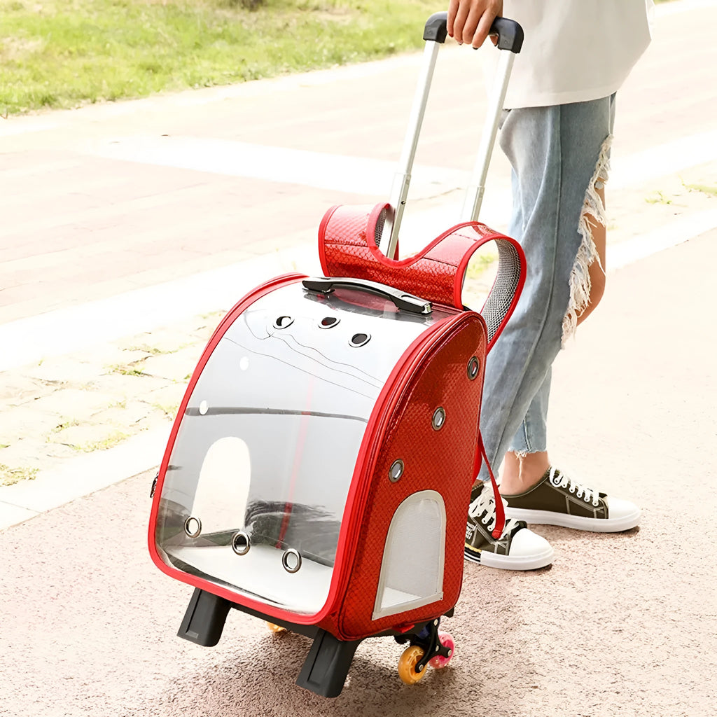 Transparent pet trolley backpack with folding design and shoulder strap for small dogs and cats