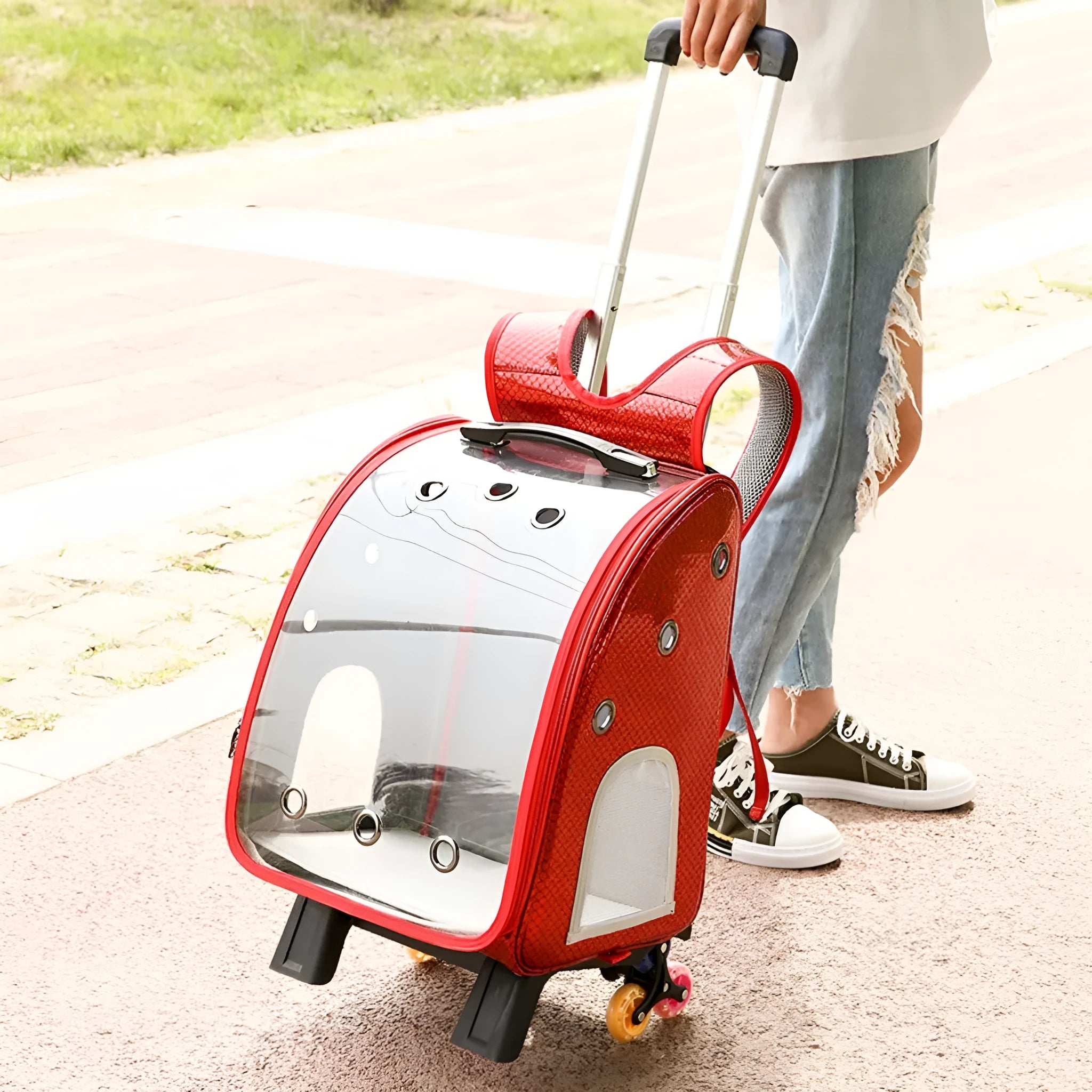 Transparent pet trolley backpack with folding design and shoulder strap for small dogs and cats