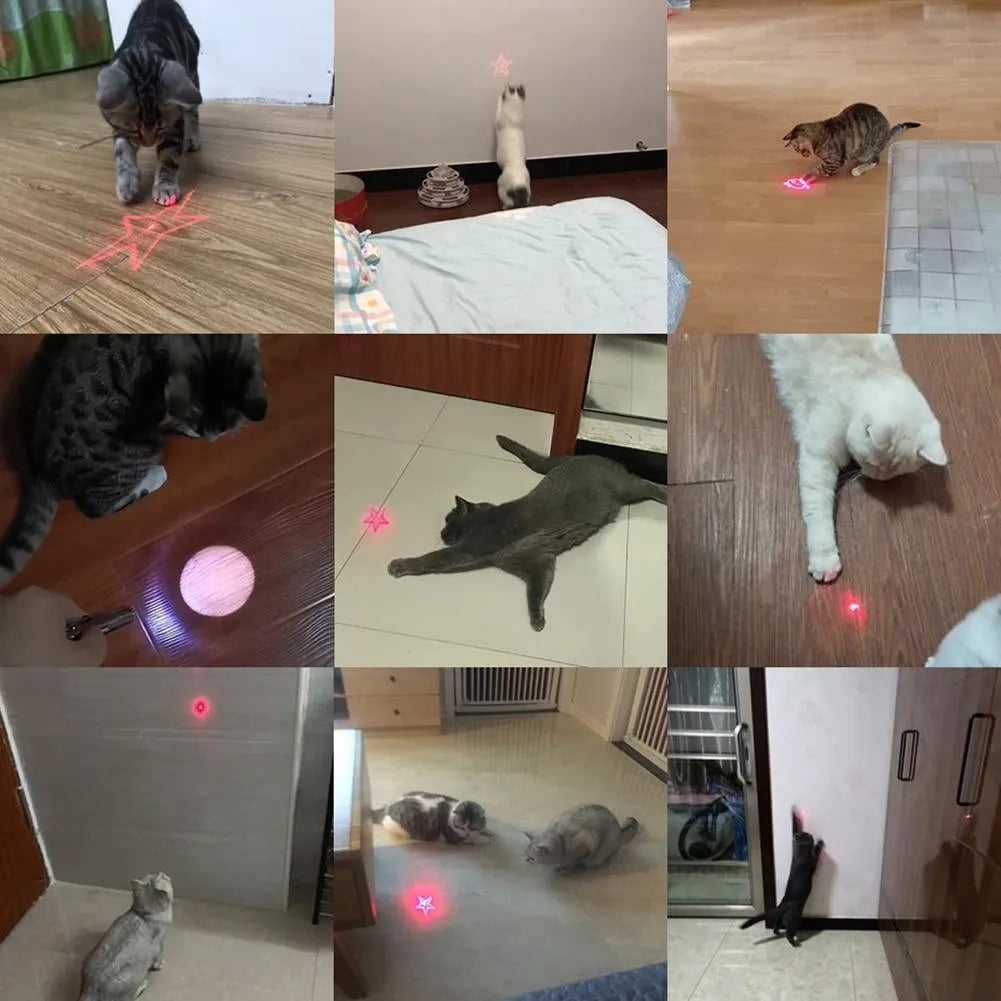 Infrared cat teaser toy with key chain lighting function in black or pink plastic construction