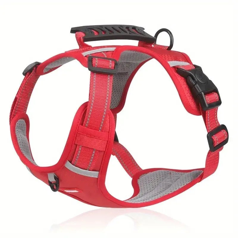 Polyester dog harness and lead set in multiple colours including black, red and blue