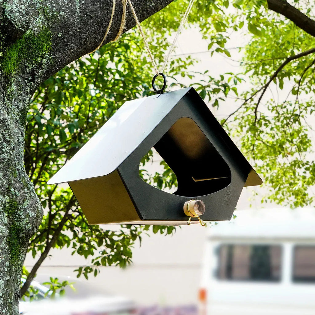 European-style iron bird nest with anti-rain design for outdoor courtyard decoration, in colour NL-01H or NL-01B