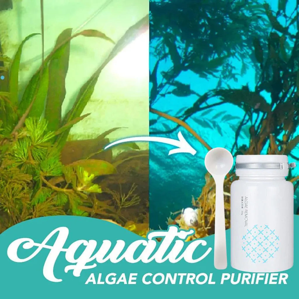 50g bottle of algaecide for swimming pool and aquarium algae and moss removal treatment.