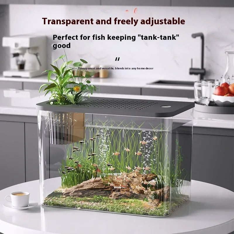 Medium plastic betta fish tank with cover in living room setting showing black and white colour options