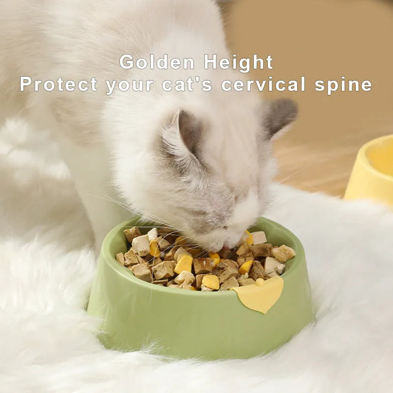 Plastic pet bowl in green, 16x7.5cm, anti-tip design for cats and small dogs