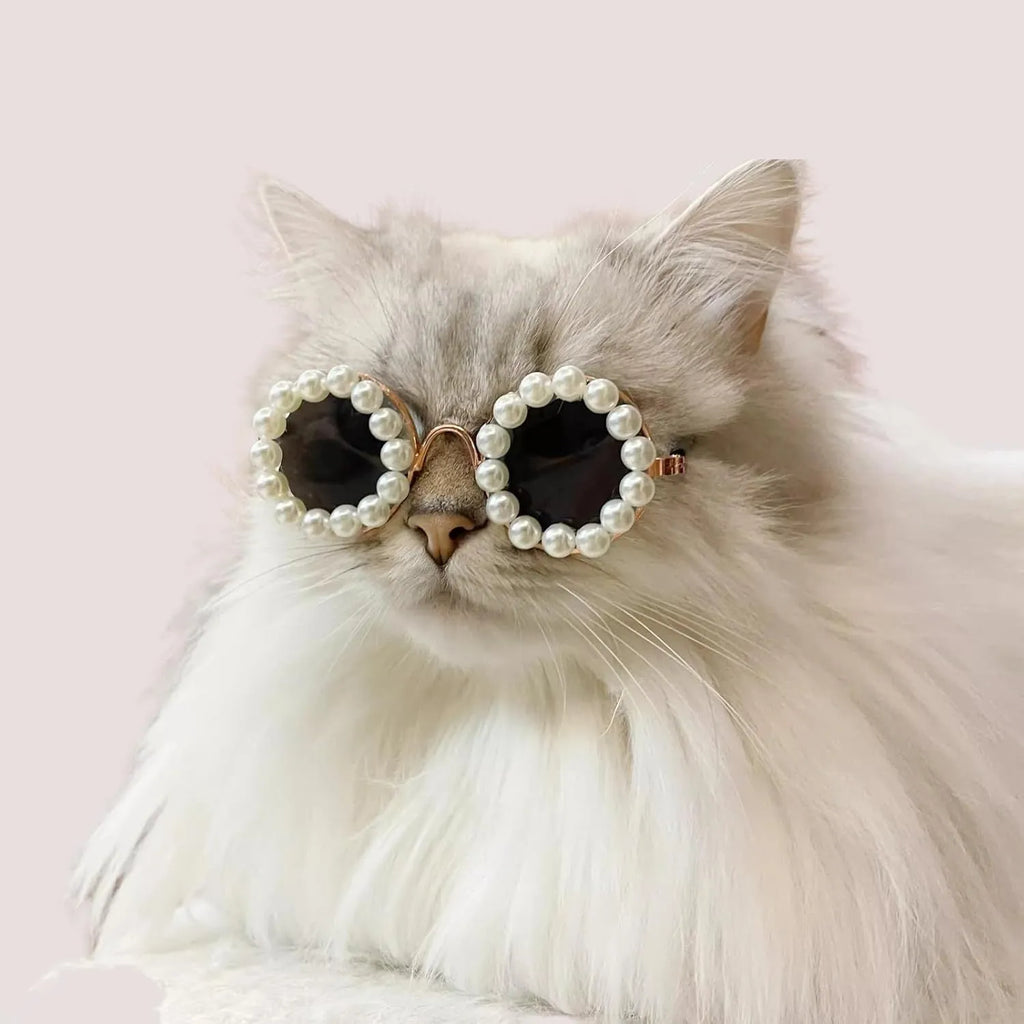Cat and dog pearl rimmed round sunglasses in five colours black blue coffee orange purple with two sizes 8cm and 11cm