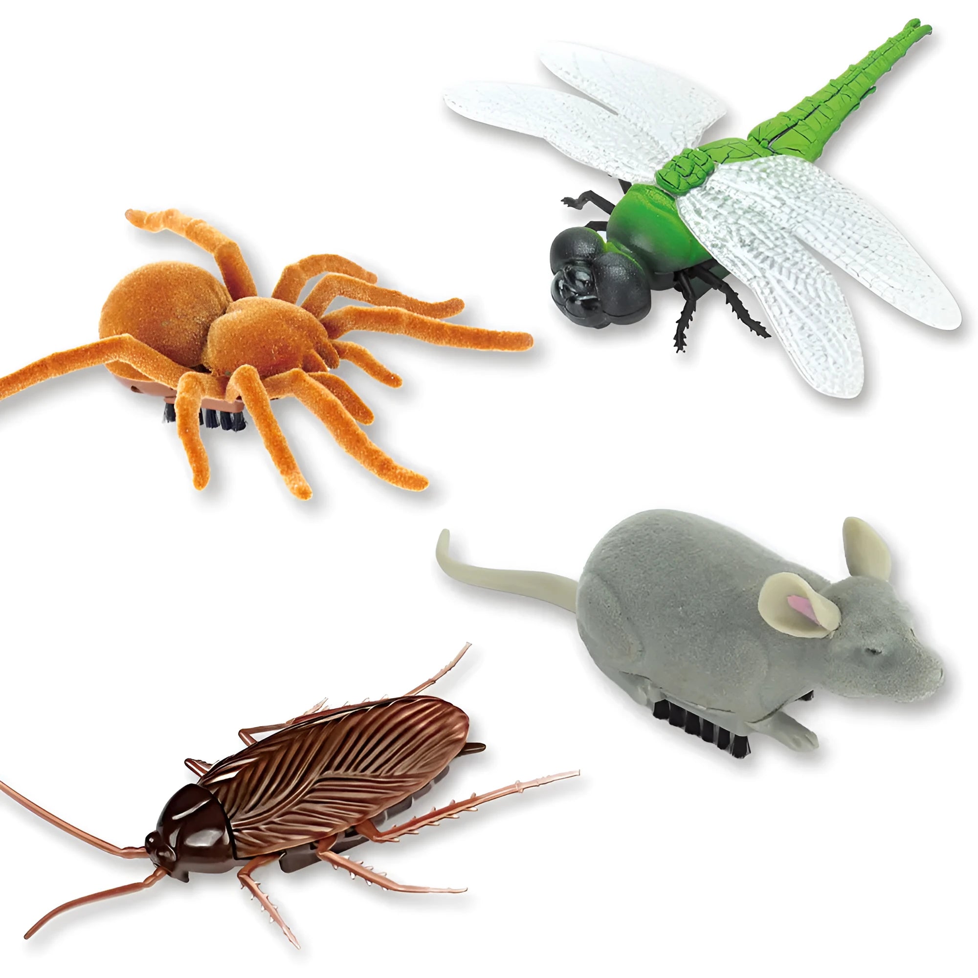 Electric pet toy in the shape of a cockroach with vibration mechanism for realistic crawling movement